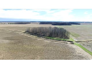 Property photo 8 - LAND AUCTION - 157+/- ACRES OFFERED IN 4 TRACTS IN WHITLEY COUNTY, INDIANA